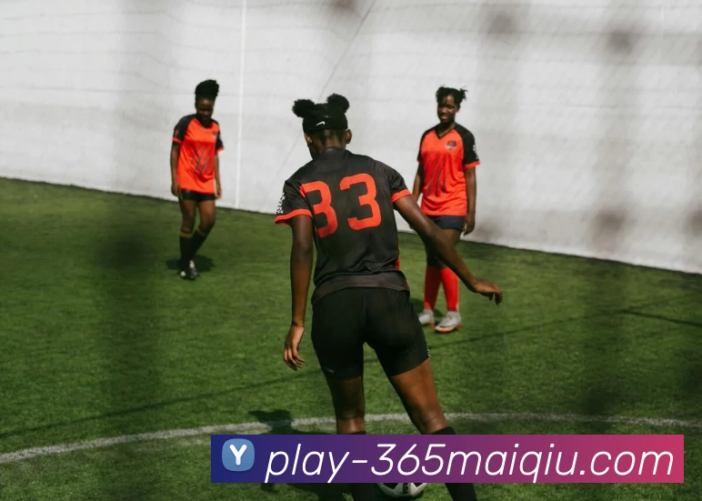 买球官网APP 封面图